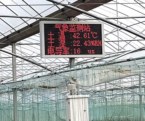 農業大棚園區氣象監測
